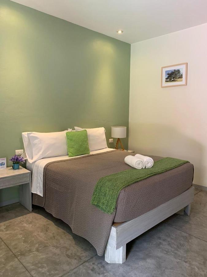 La Betulia Bed And Breakfast オアハカ州 エクステリア 写真