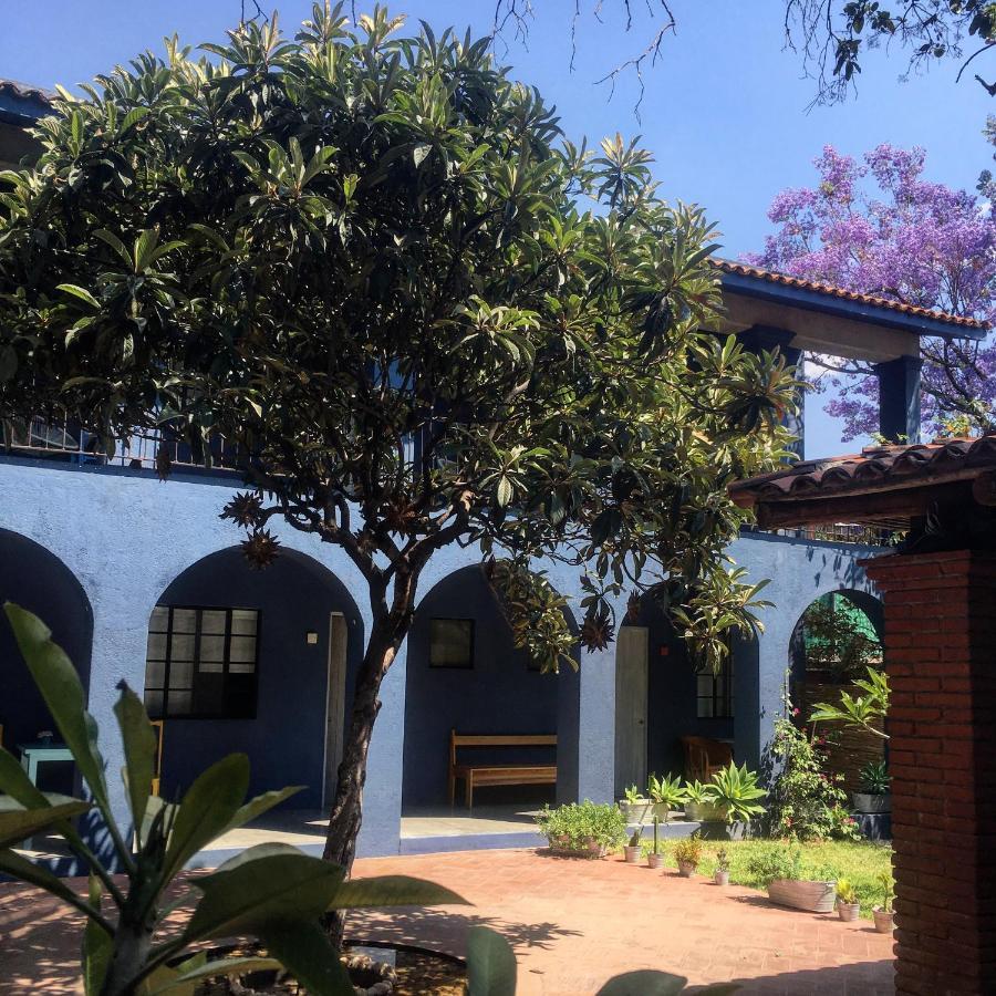 La Betulia Bed And Breakfast オアハカ州 エクステリア 写真