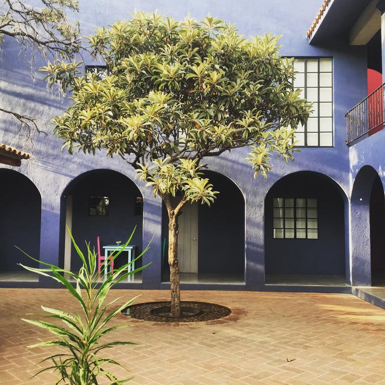 La Betulia Bed And Breakfast オアハカ州 エクステリア 写真