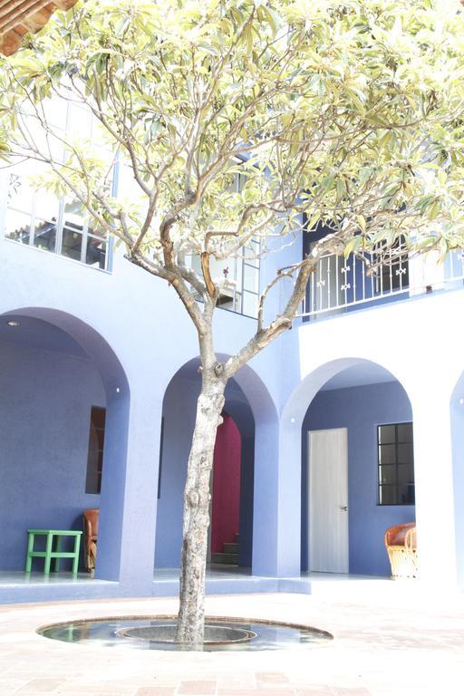 La Betulia Bed And Breakfast オアハカ州 部屋 写真